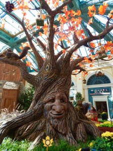 Tree Bellagio  conservatory