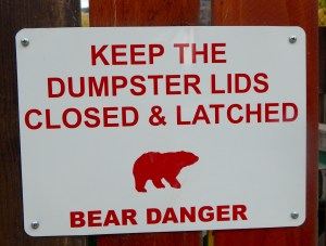 Bear notice