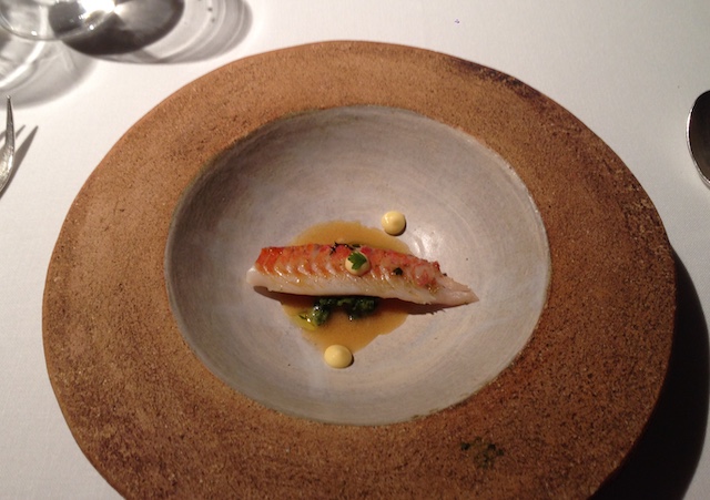 Red mullet with seaweeds and sea anemones