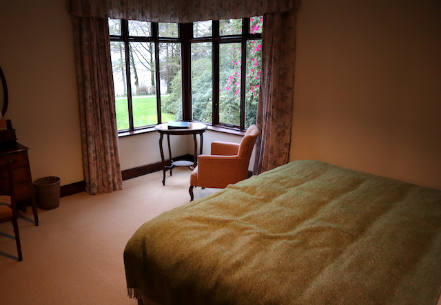 Room with window view