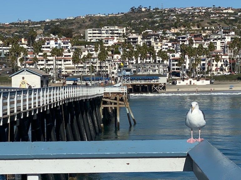 Looking back at San Clemente