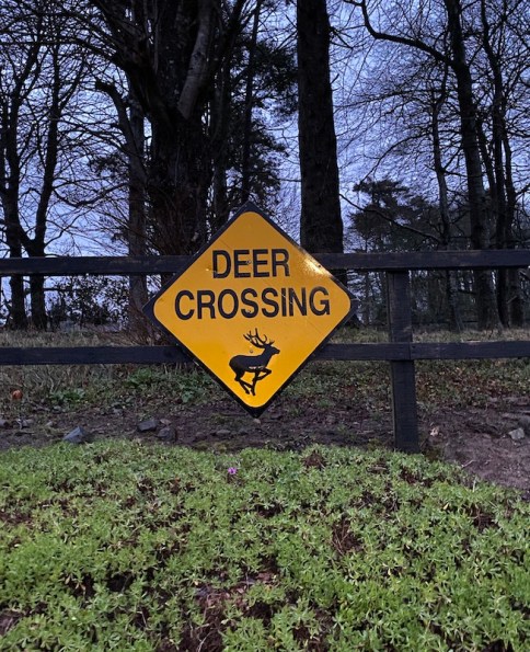 Wildlife Sign